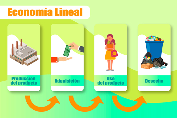 Lineal Ciclo lineal